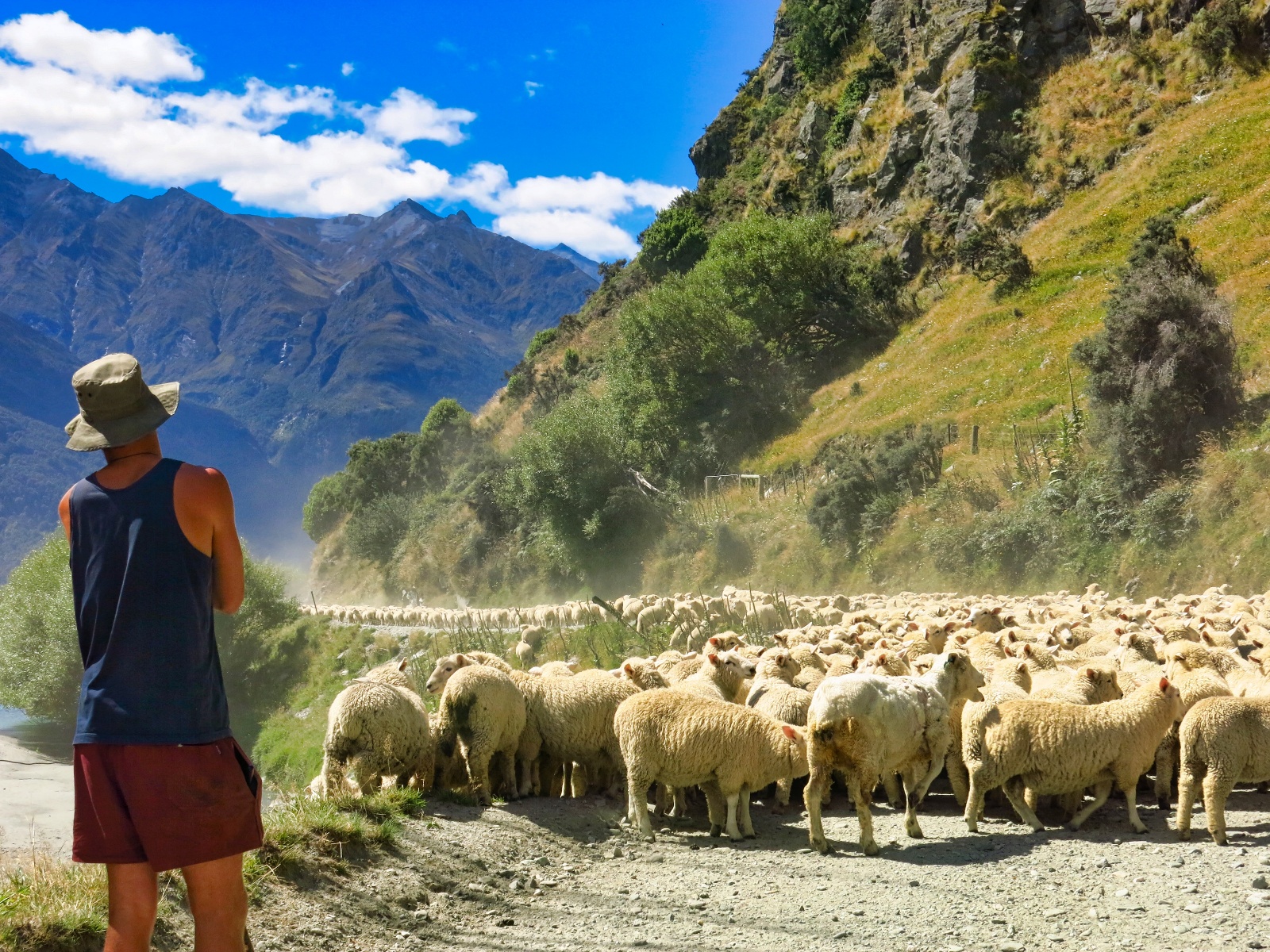 Wanaka